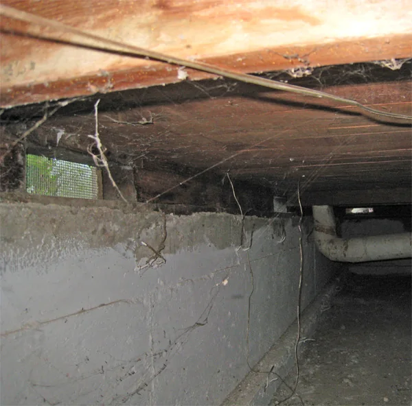 Crawlspace Water Removal in a Boston home