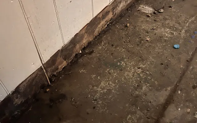 Sewage and Black Water Cleanup in Boston, MA