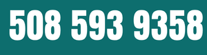 Call Us Now